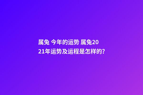 属兔 今年的运势 属兔2021年运势及运程是怎样的？-第1张-观点-玄机派